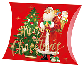 Pochette cadeau Noël 54gx16